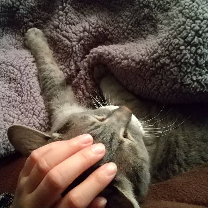 17d49d67 3a41 4357 a0d1 27a6a7181998 1681854660804