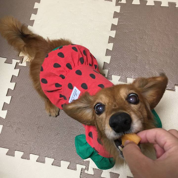 17d4a773 b083 48fd be0f 76ebfcbd3159 1592309550528