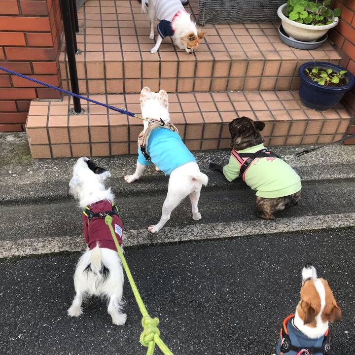 17d4c8a9 047b 458d 9d10 31cffd937a62 1543974947483