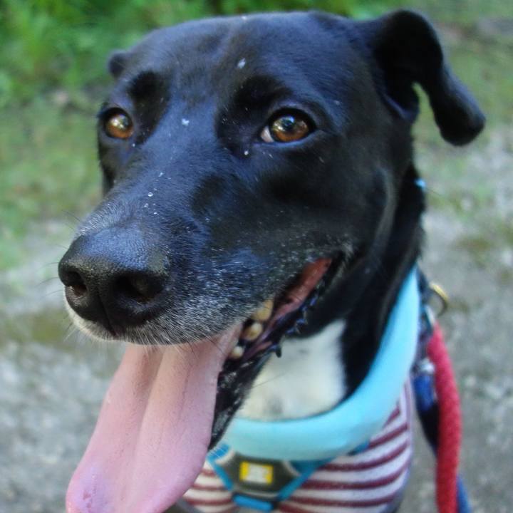 17d50015 ba78 4399 890a cc52432015b6 1627949911723