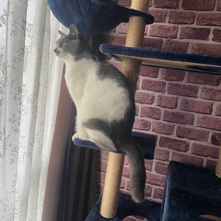 17d50e49 ff3e 47dd b3a7 b7e3d7eedf1c 1734483789066