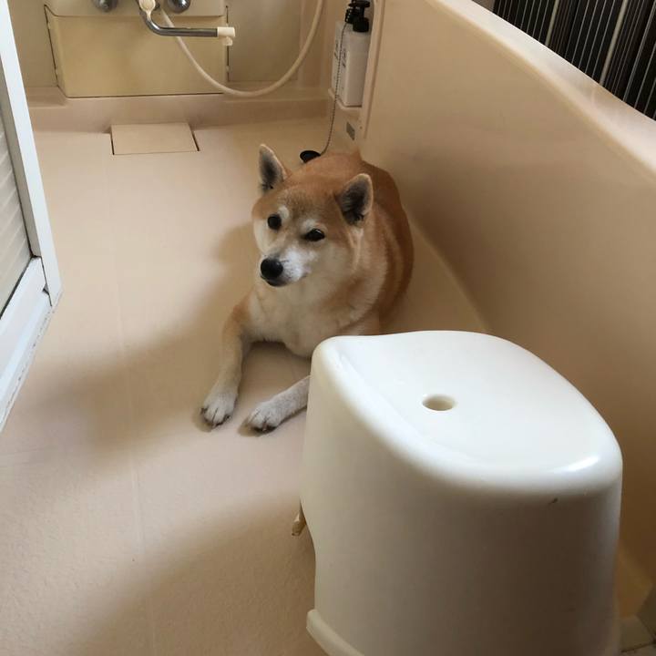 17d51b9d 33b0 4d84 ad8c a7ebf701af47 1564494991446