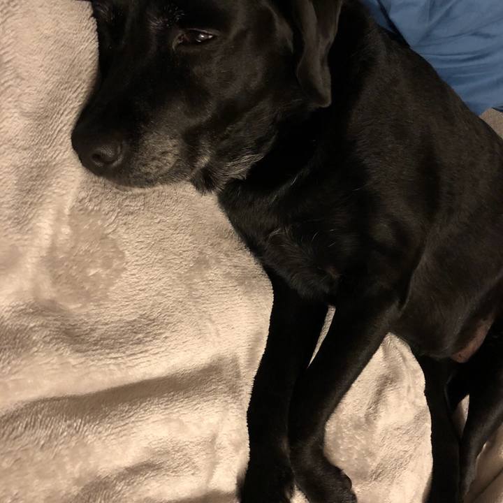 17d52892 af0a 46c7 a224 95d0d696ac1d 1542553672230