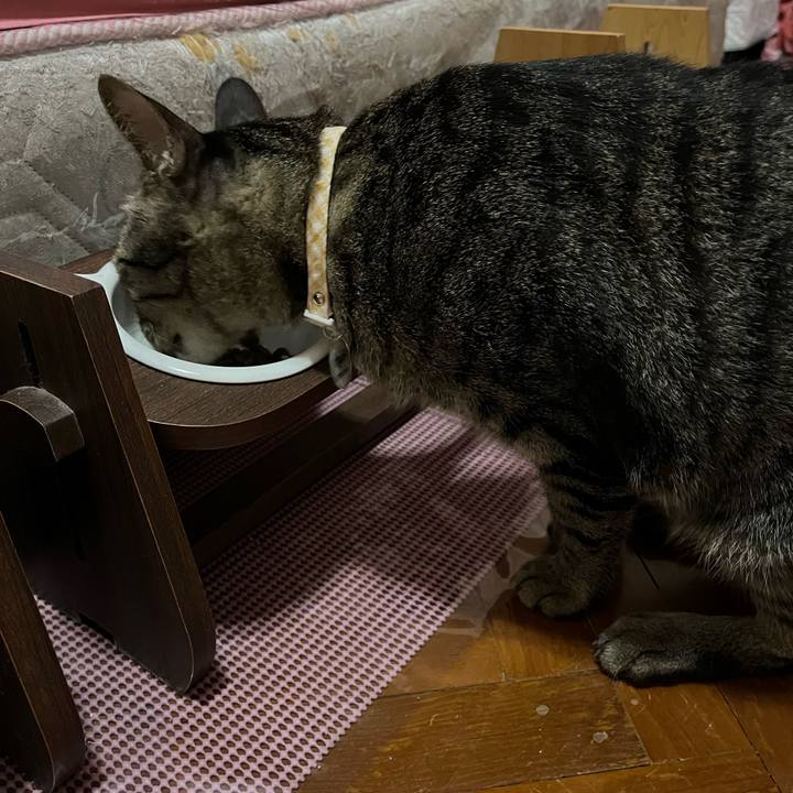 17d538b8 9f56 42ca 86ef a706ce976149 1767175233958