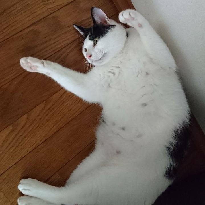 17d54ccc f66d 4d51 b4f7 cc2ebb786cec 1521029470117