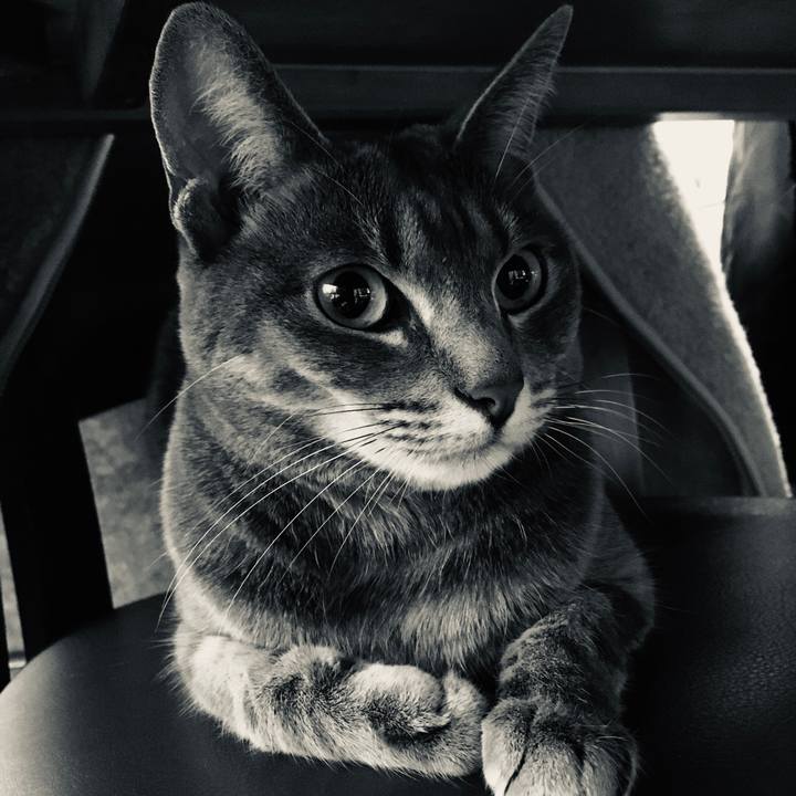 17d56812 e23e 4b25 a2ca 2948e3393846 1577002022890