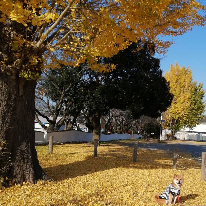 17d57841 5821 465f bc8c 127b52aded7e 1606104757590