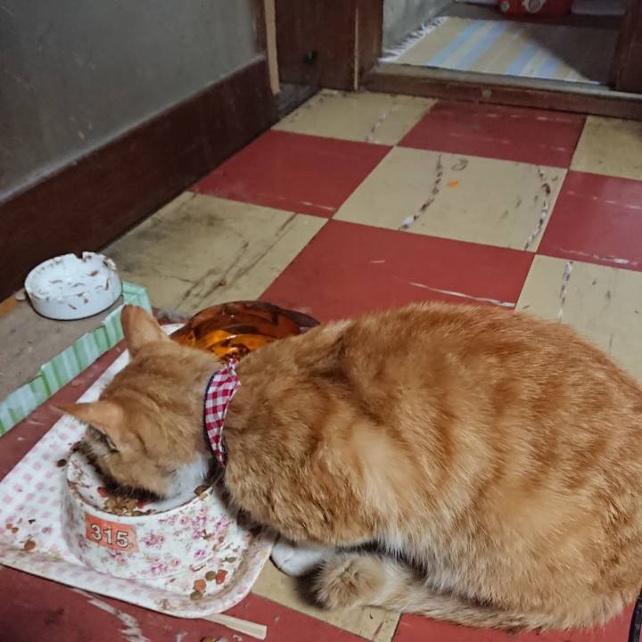 17d59494 fdab 4a3b 9fe9 9293829b09c0 1558212837806