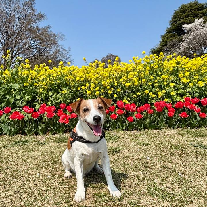 17d59b5a 95d2 47d4 89a3 02ab598ab569 1774784730191