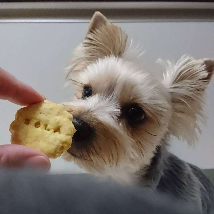 17d5a2c7 18ca 487d 9a6a f857eb25ea82 1512779126063