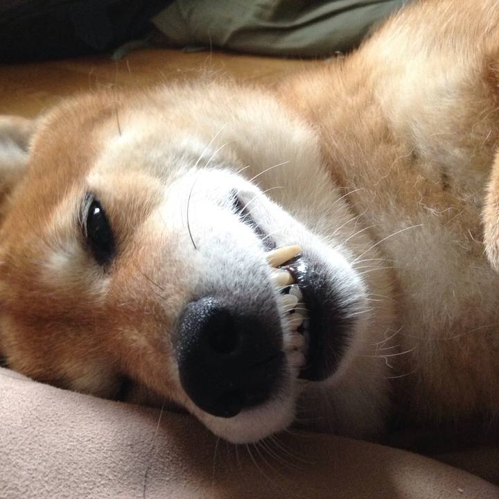 17d5bb6d 648f 40c0 b2ae 3a81d1888625 1531641046615