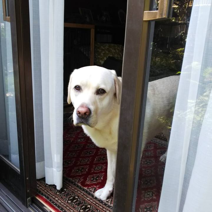 17d5e2f2 0a5b 4f6c 8311 24c046025aaa 1529905897494