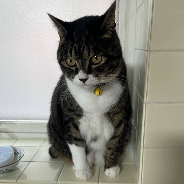 17d62565 c0c3 4b6b 8424 0872c3303fb1 1761092022703