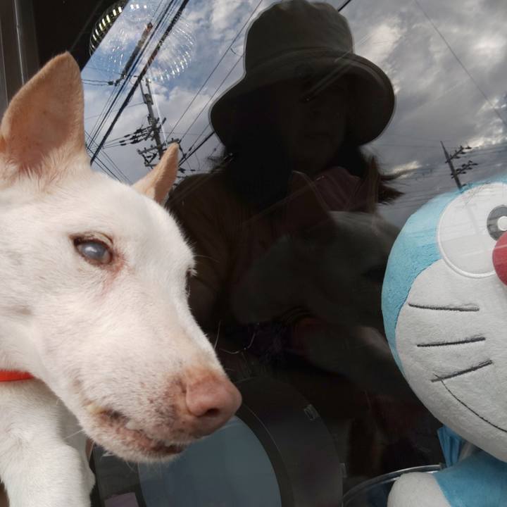 17d6297c e624 43fa a553 370eac48ebef 1570054868514