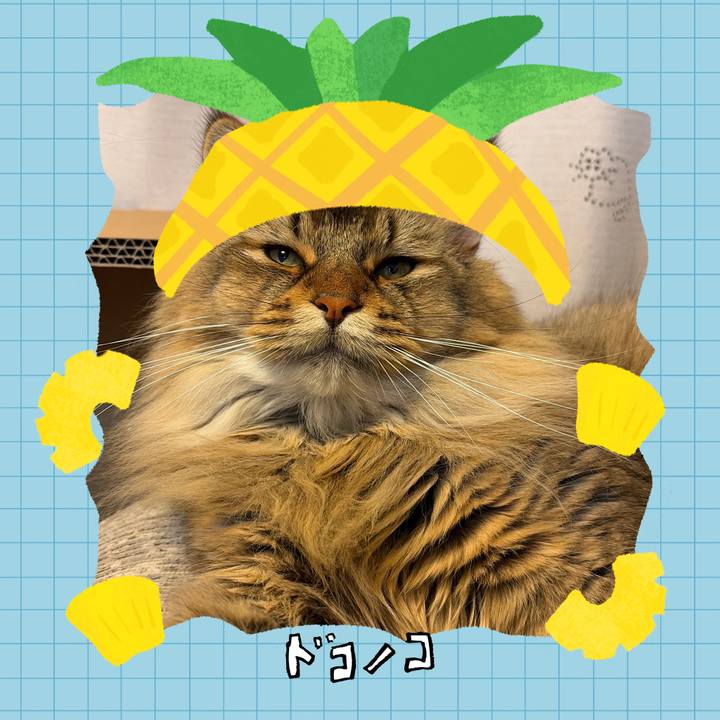 17d63077 03b8 4c10 aa7c 2d3f2dc75a1c 1783341295478