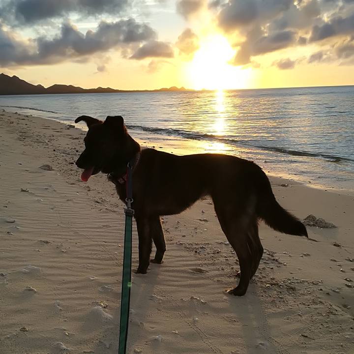 17d67e6e 7c3a 4d4a a17b 62e6dc313ded 1592579260522