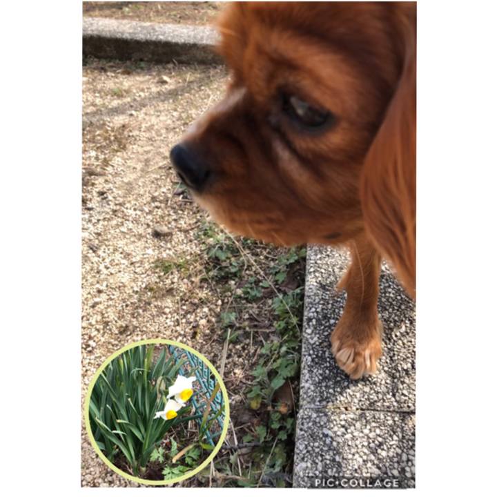 17d6abae 8da4 42da aaa1 c525479751c2 1548563647362