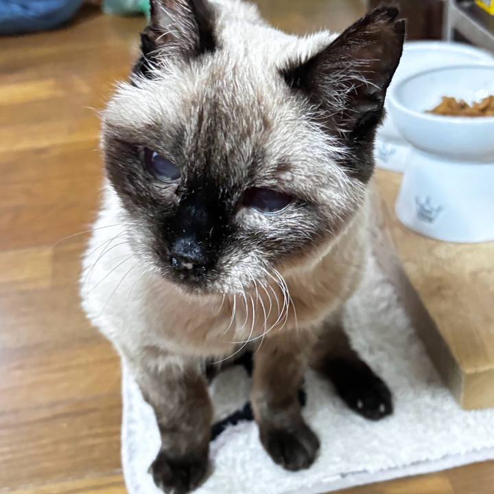 17d73a0f 482d 45d0 8da8 f6911122fc01 1714463557339