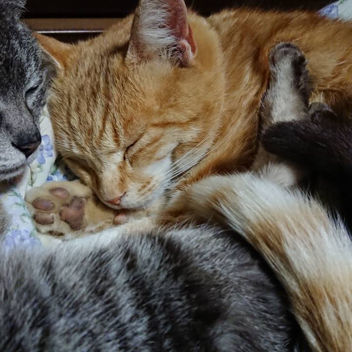 17d74671 a812 44e4 aa40 6d8cdb00e8f4 1588335816495