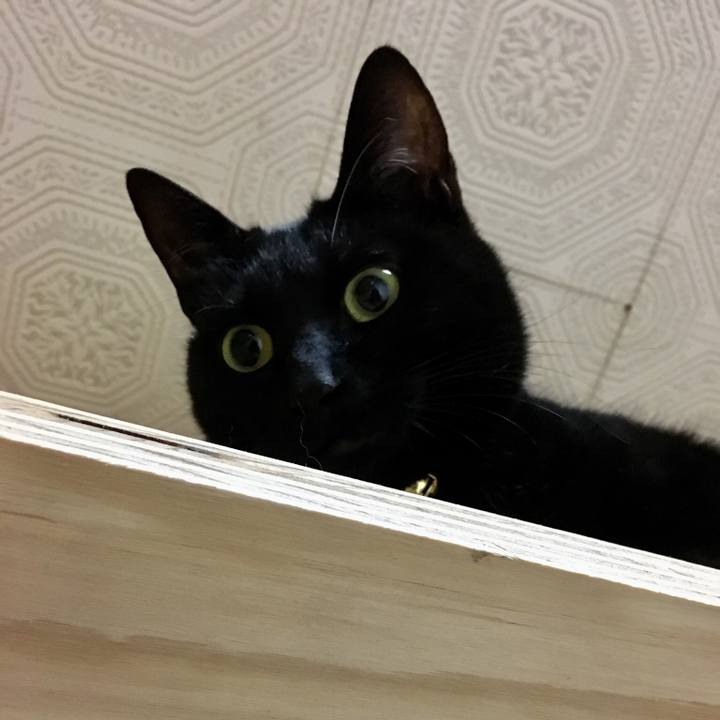 17d77f42 320b 49a3 81ff 592c55aee345 1515341964459