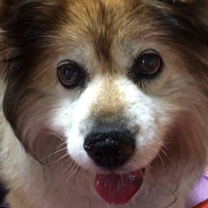 17d782f5 dfaa 4461 aa6b cf924ac591be 1596421648127