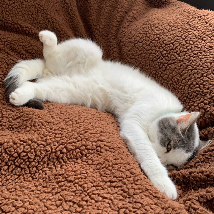 17d808b7 7ae1 41b9 87d5 37fc20c1e83e 1654902324018