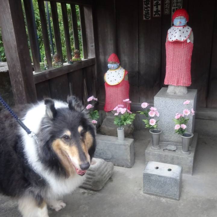 17d85f23 1b02 4687 be4d ded3a14ff1f2 1591972631181