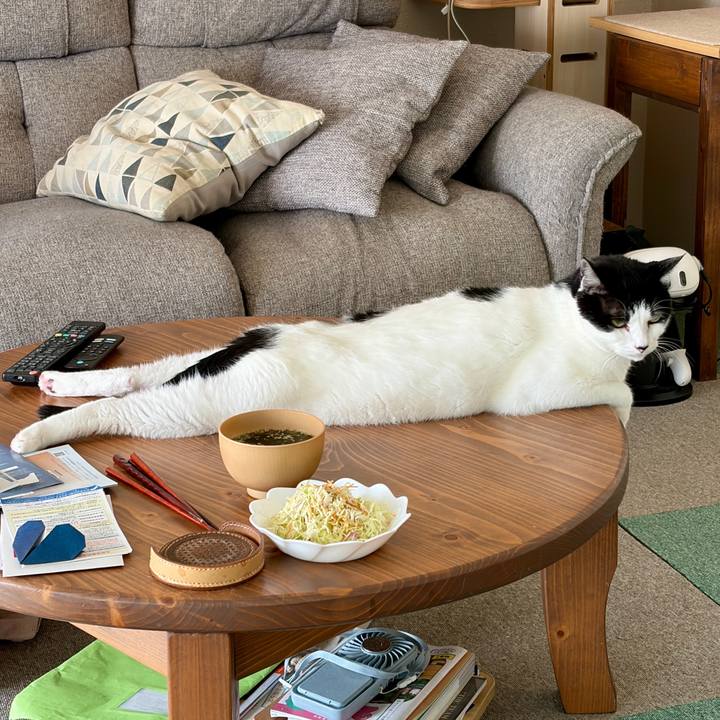 17d87453 77d4 4e77 b349 00e9bde8467a 1763478652606