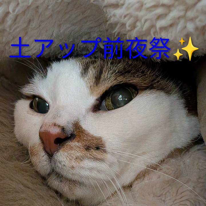17d894f8 4108 4d42 aafa 18fef7df0c36 1766087697271