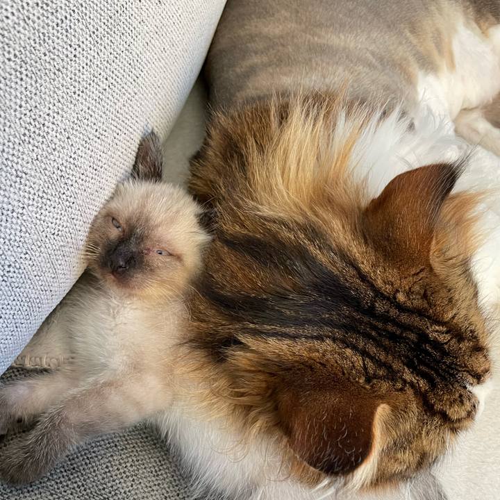 17d89bfd 0278 4949 9a65 ace1f07eff37 1687077825885