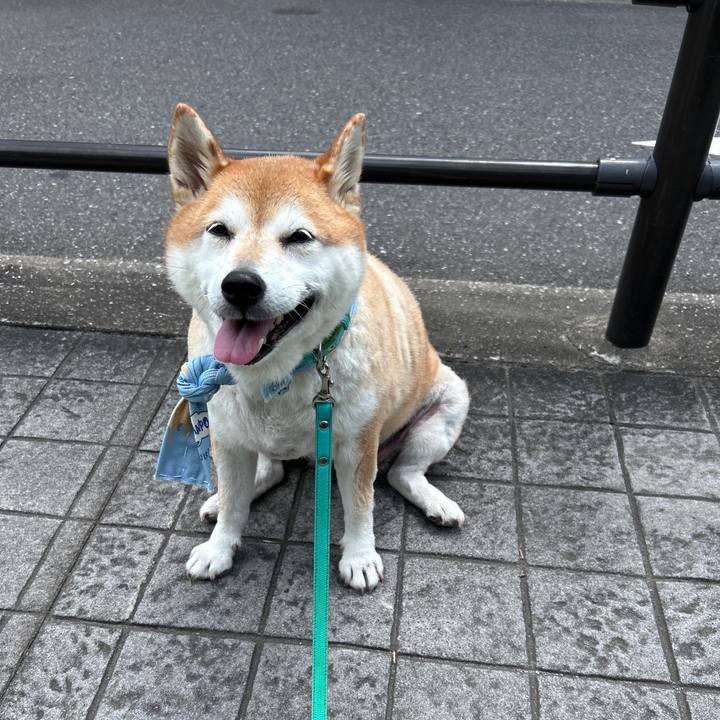 17d89c94 5f98 4432 95fa 6ae5e74de5f8 1725505059118