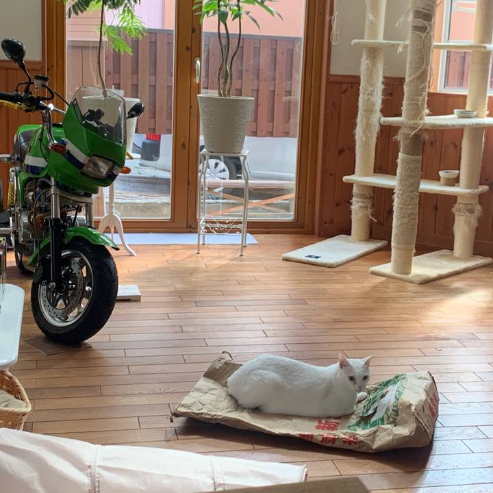 17d8d510 35c0 400e 866d cb070a99617c 1665805487113