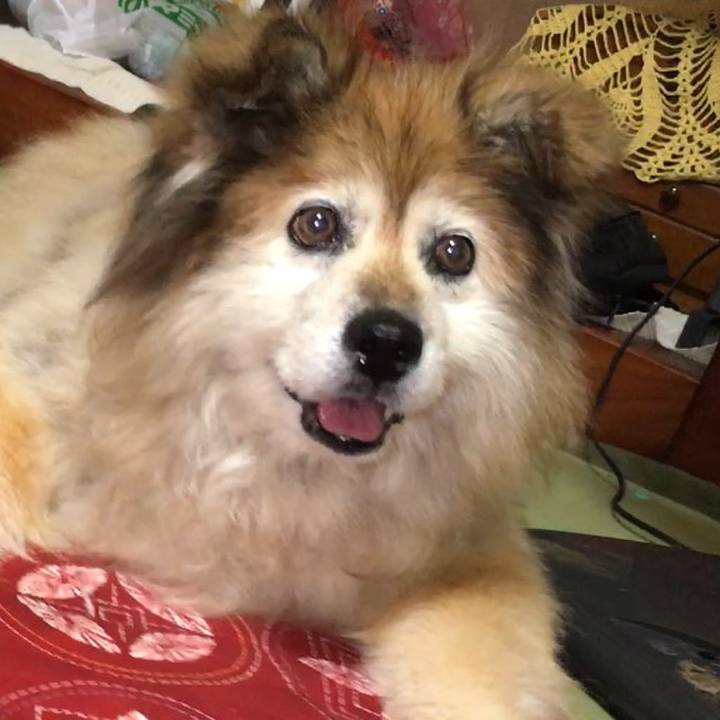 17d8eb20 bac2 4705 9637 650826ae78b4 1642396413281