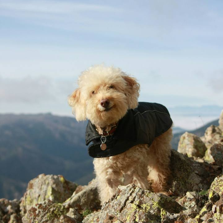 17d9184c 3592 4547 9f1a 619d2bb4fcf9 1543789674963