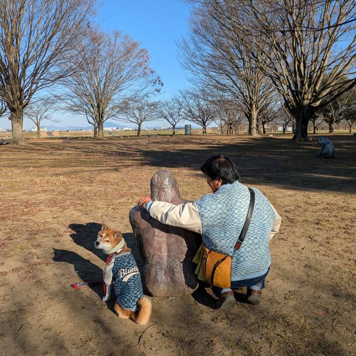 17d92934 efdd 4b58 8804 ddee3aee0c10 1737215068335