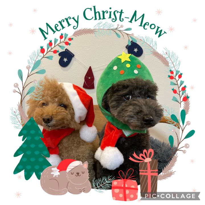 17d94abb 7f27 45b9 ad91 58b03cc25a83 1671873045951