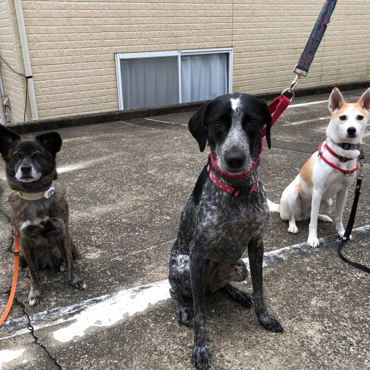 17d9548c d9ed 4504 a797 906b9dd84221 1606263396680