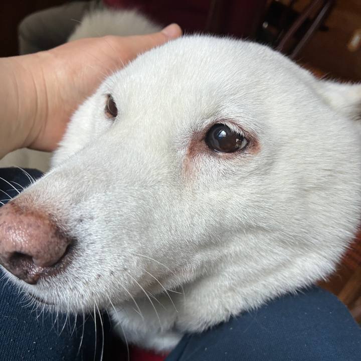 17d97722 8d34 46b1 84c8 a20a52c037f0 1763870275535