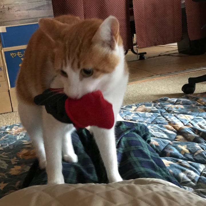 17d97985 435f 40c1 a7ab 2b63286f38f5 1510626394808