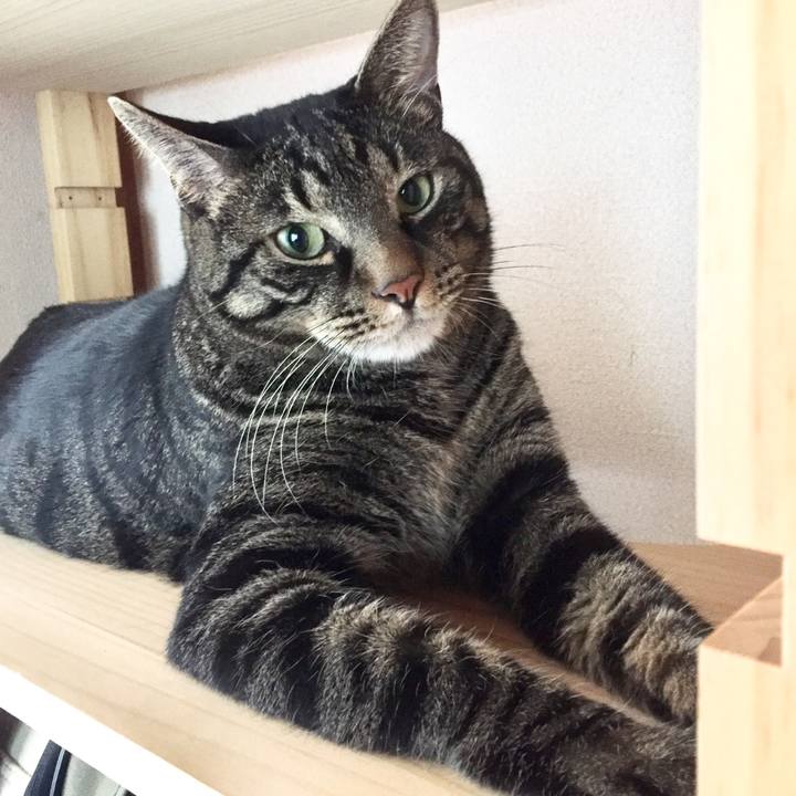 17d98cb6 3631 4999 9824 76590a7189e5 1538372640976