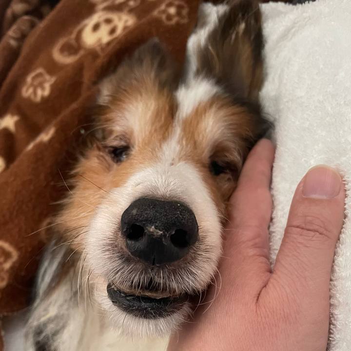 17d9921a 53df 4147 bb1e 512e567d3c30 1673062419325