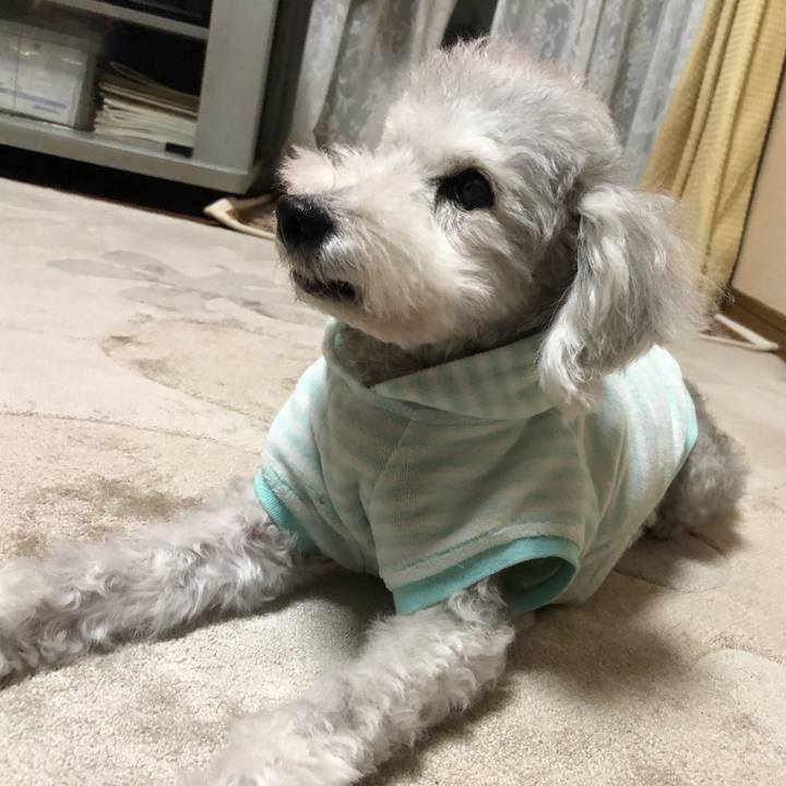 17d99417 cf4d 42b5 8601 11bae07c7f8c 1634440650536