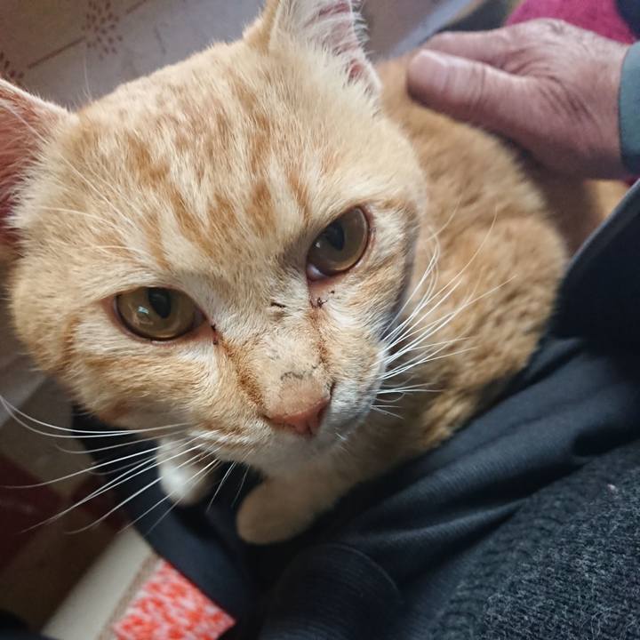 17d9a789 7f41 4c27 b2bd 94073457309a 1555710563111