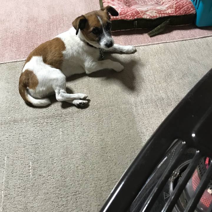 17d9b678 a39c 48b6 a4ac 8d17a11c6646 1544003789732