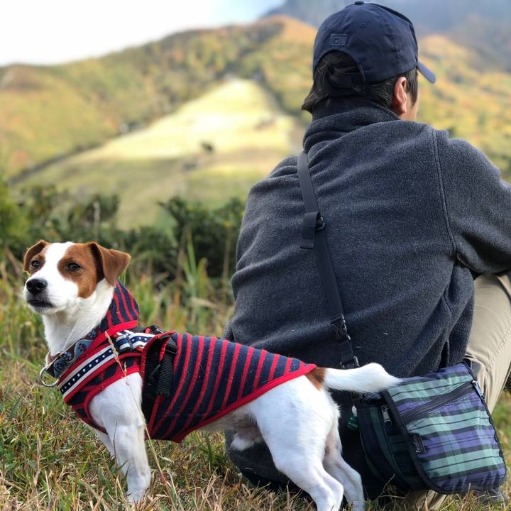 17d9ff1d 3d90 450d a7da 93b34c2df773 1540038470751