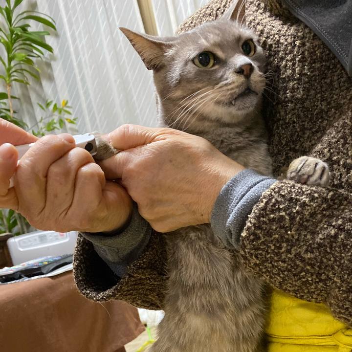 17da4edf b486 432f 8ac0 63dacfb0999c 1575555892162