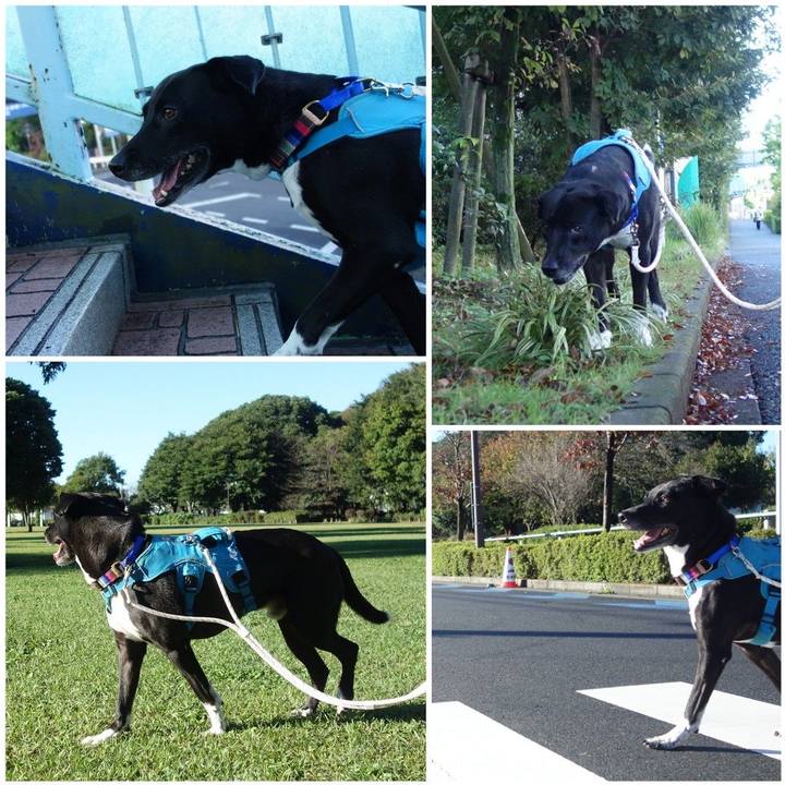 17da5096 ad97 4a01 8275 15ef6b67516f 1634948558175