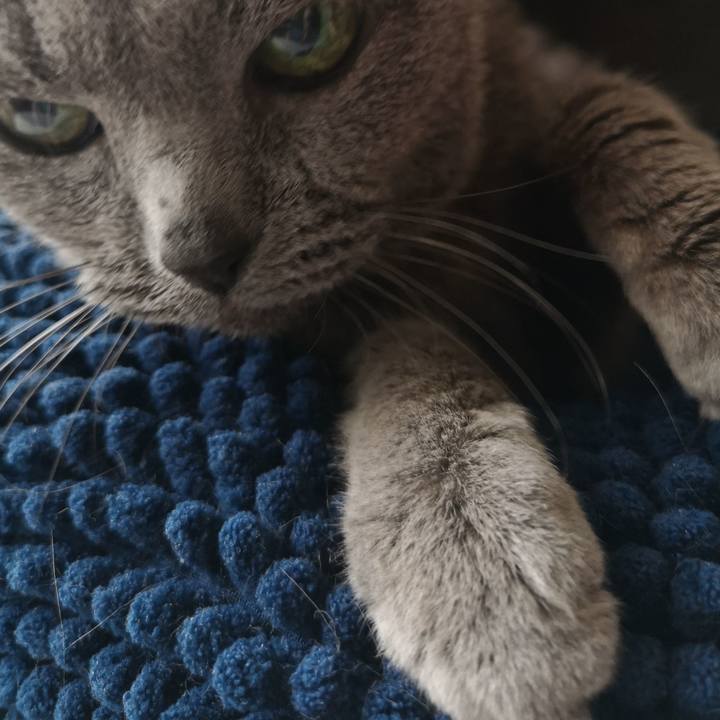 17da7648 6167 42e0 9cf3 791188b21eec 1683957057724