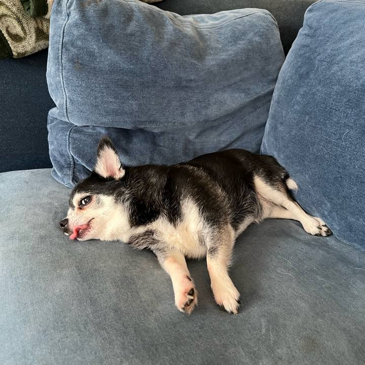 17da76ae 263b 4d68 afd2 63d80d195204 1750062762340