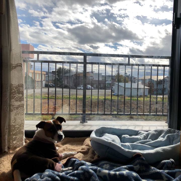 17dacc10 b2b3 4f12 9423 0e49d8e197bf 1573692319439